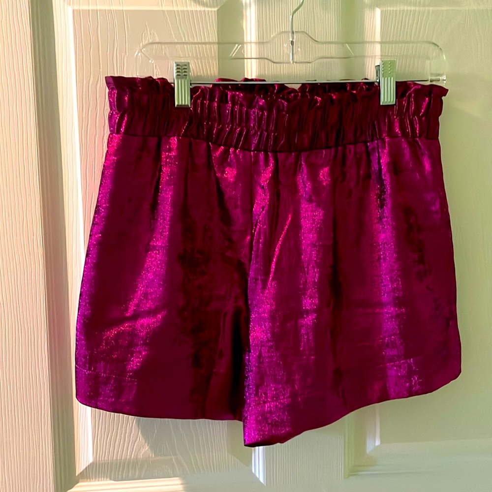 Never worn, but tags off. Lined shorts.